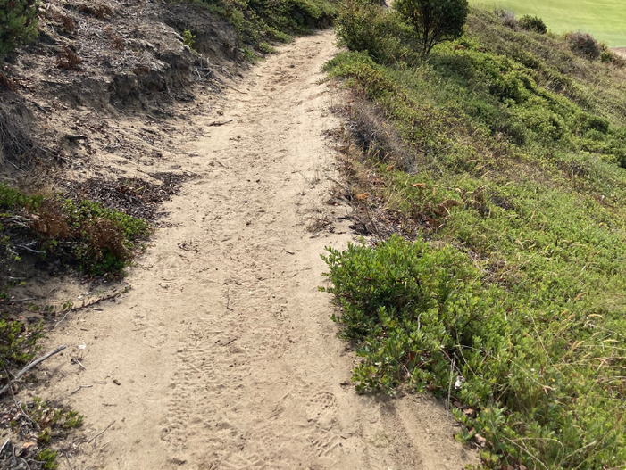 Club Culture Course Trail